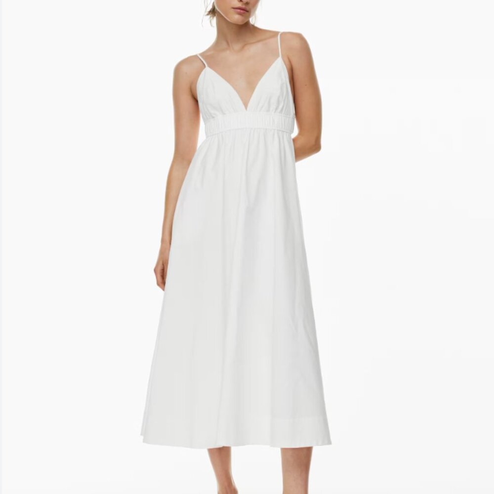 Aritzia Babaton Dress